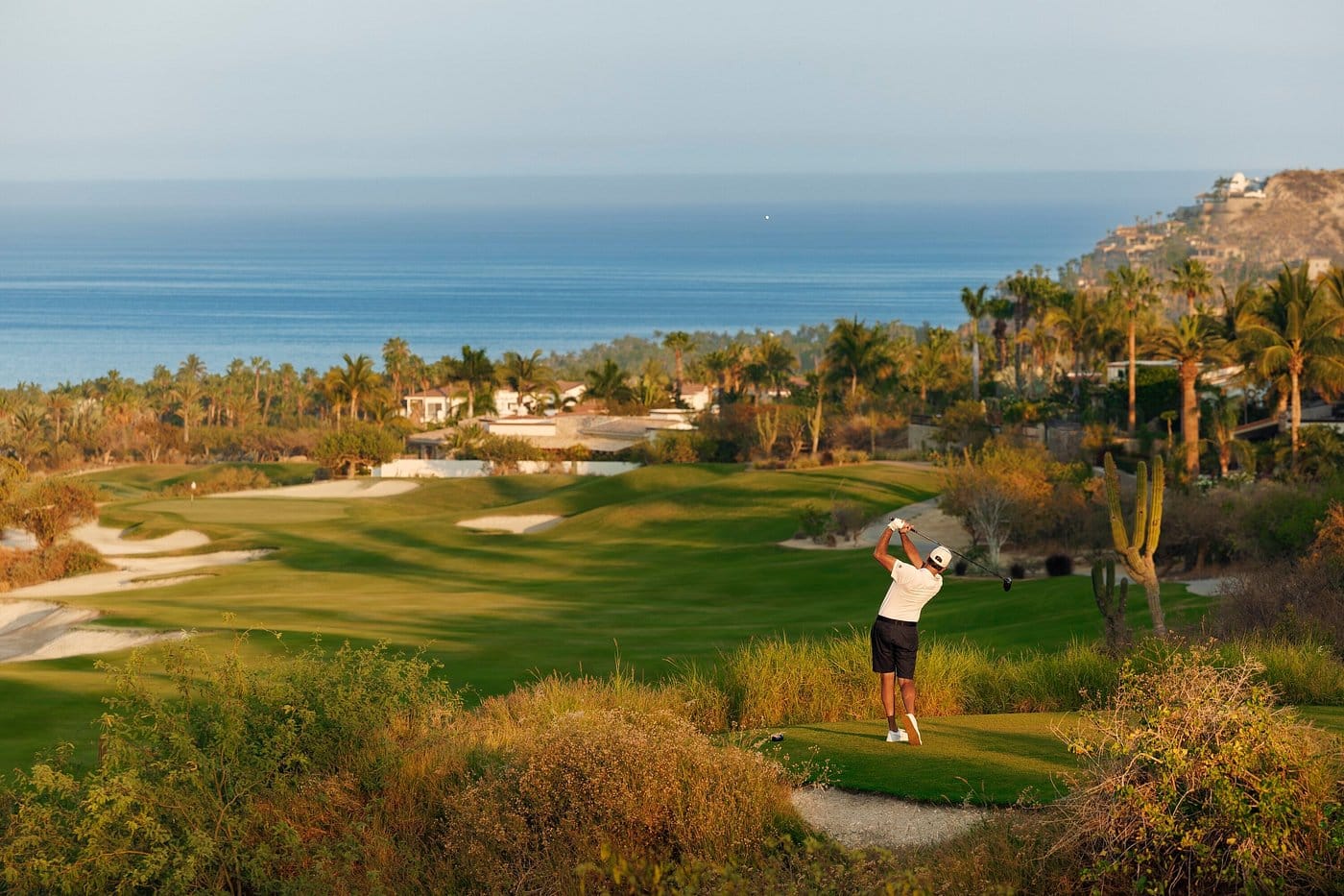 Palmilla